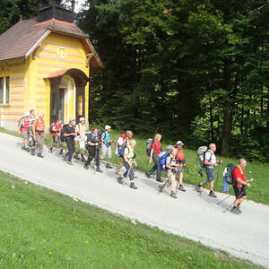 Fuß-Wallfahrt nach Maria Zell