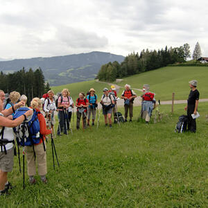 Fuß-Wallfahrt nach Maria Zell