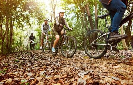 Group of friends ride mountain bike in the forest together