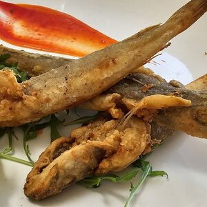 Codfish
