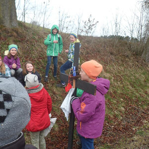 Ministrantenkreuzweg, Pfarre Neumarkt im Mühlkreis