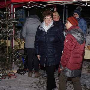 Mesnerinnen