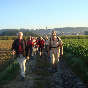 Fuß-Wallfahrt nach Maria Zell